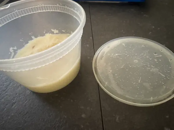 Live Microworms in Potato