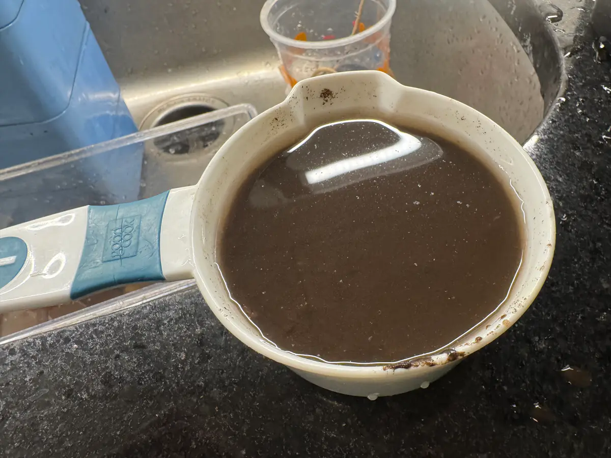 Dora Mulm Extract